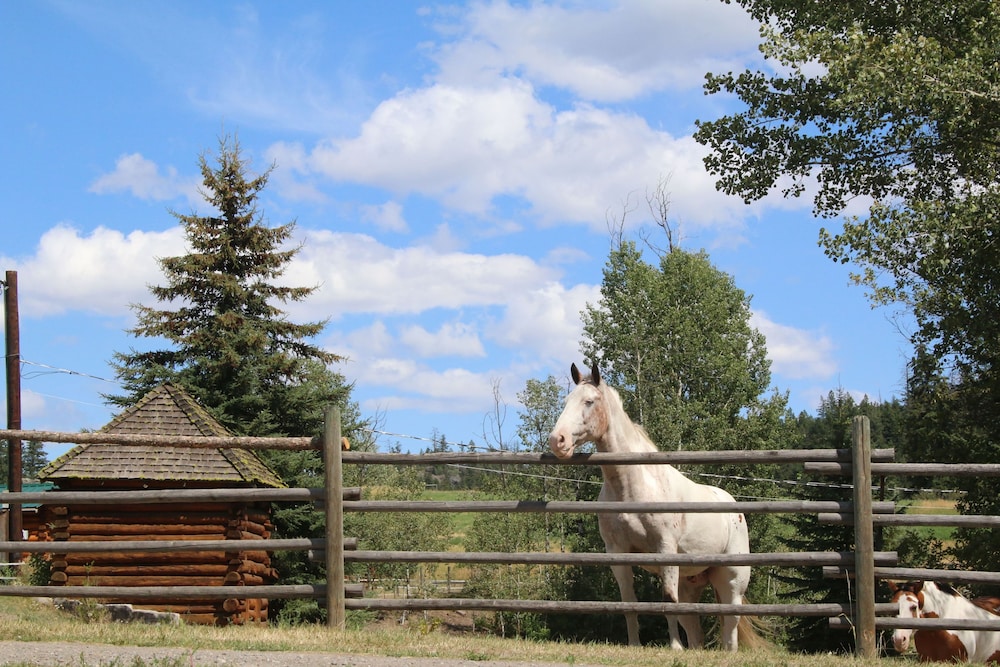 YD Guest Ranch