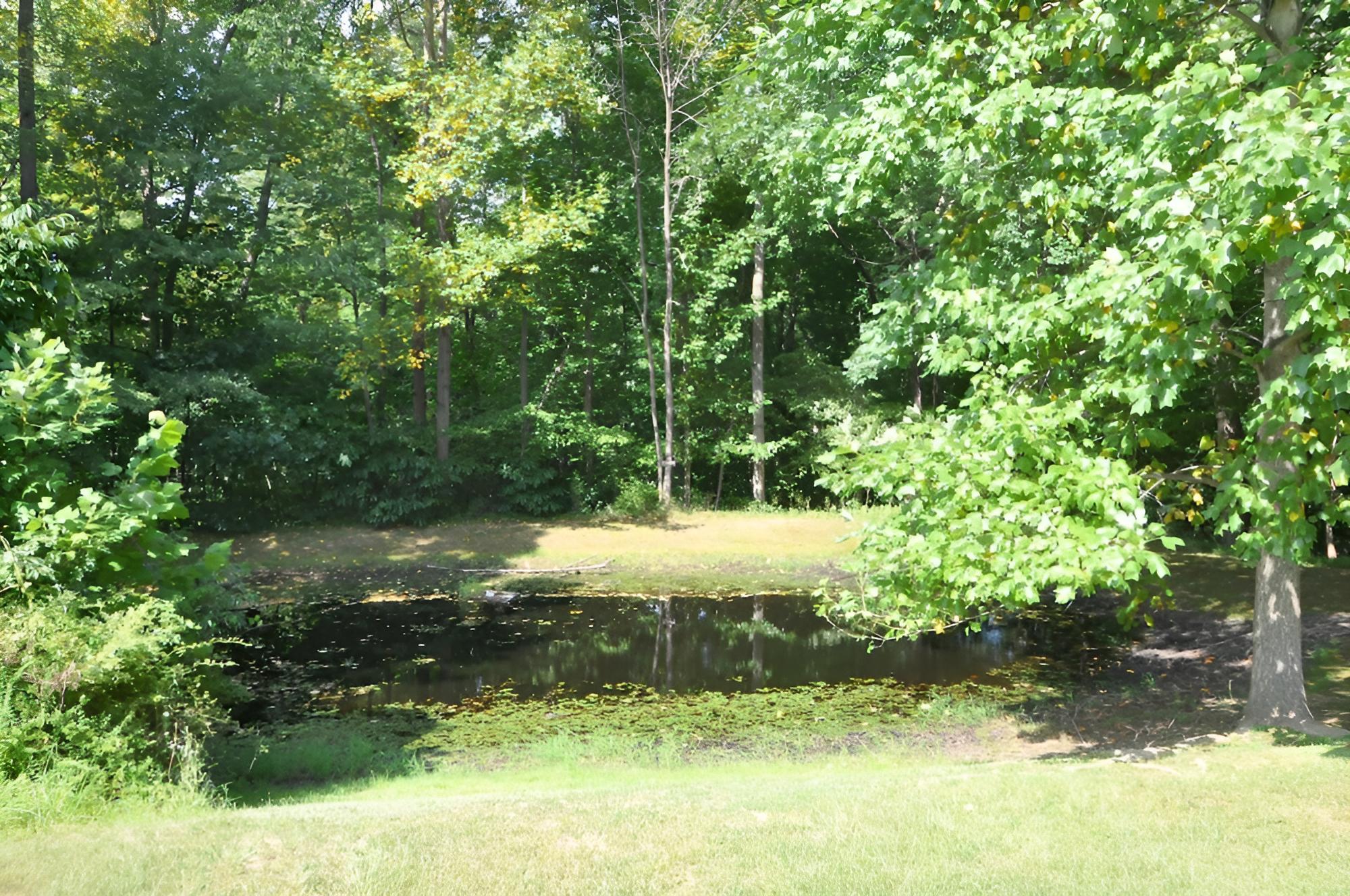 Davis Delight - Wonderful Country Home view 5