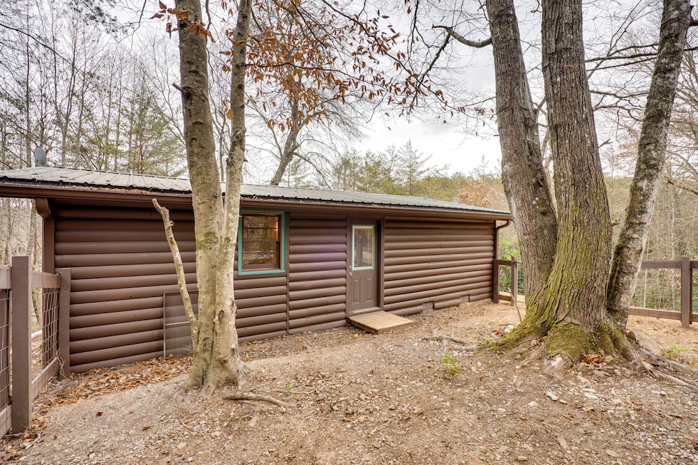 Peaceful Warne Cabin: Fenced Yard & Screened Porch view 5