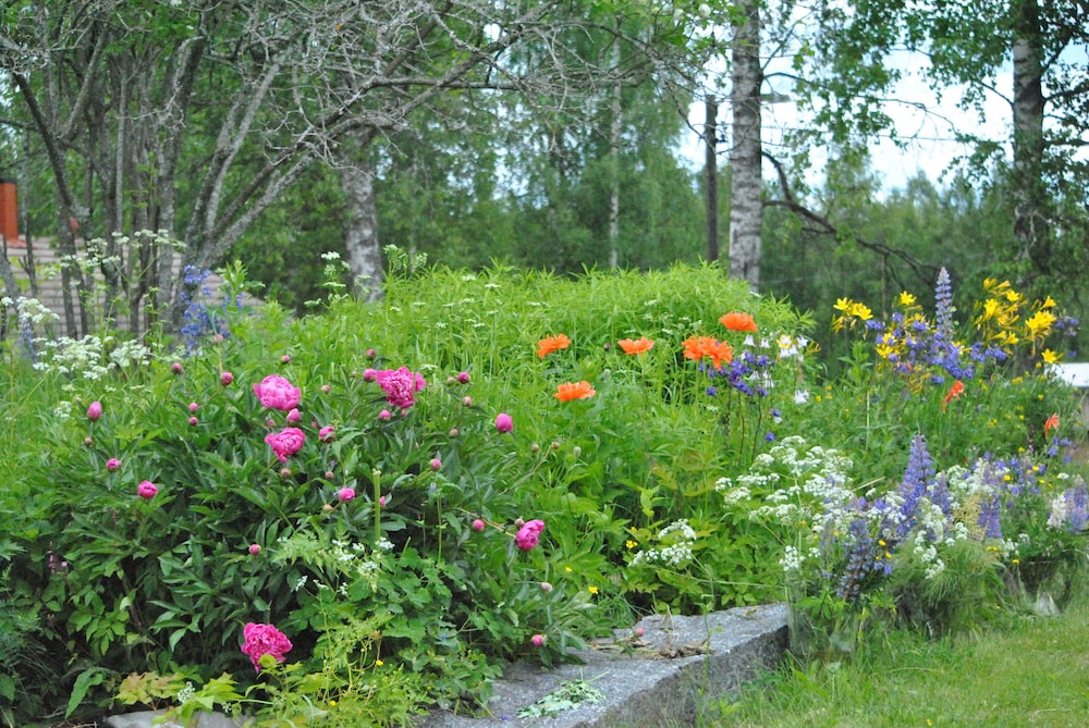 Photo 23