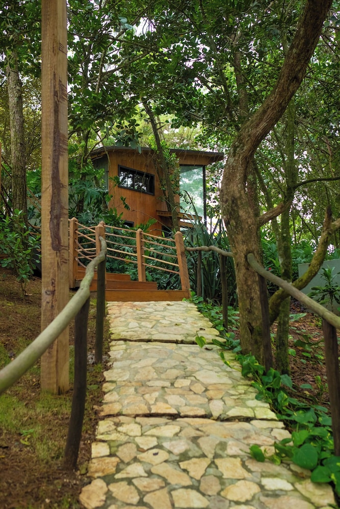 The Grand Forest Jarabacoa