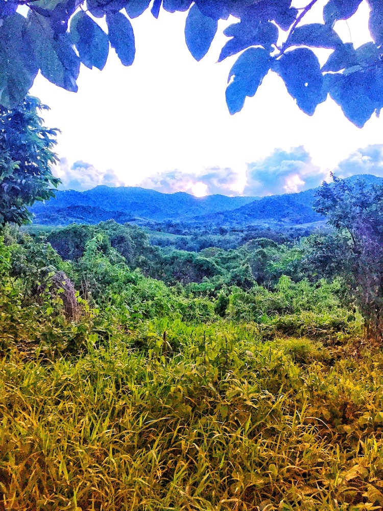 Vue grand hilltop