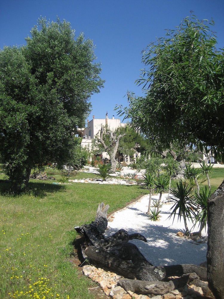 Photo 27