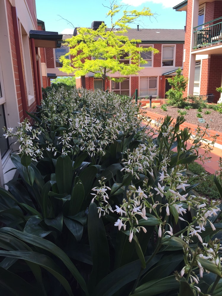 Australian Home Away at Box Hill 2 Bedroom