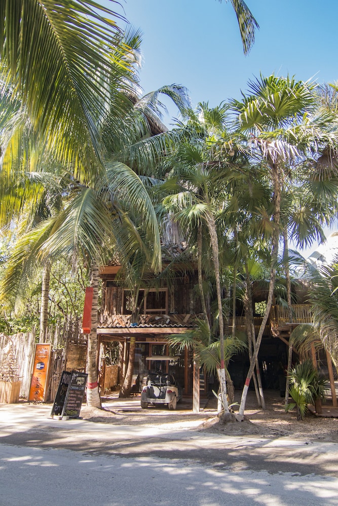Cancun Vacations - Bambu Gran Palas Hostel Party - Property Image 29