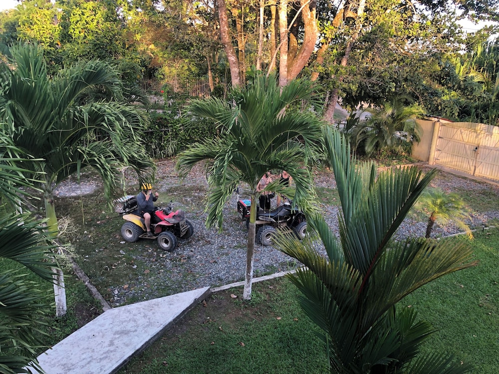 Photo 41