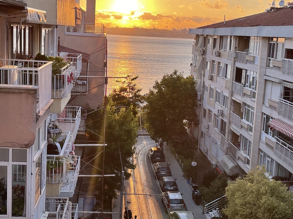 Moda Suit - Image 29