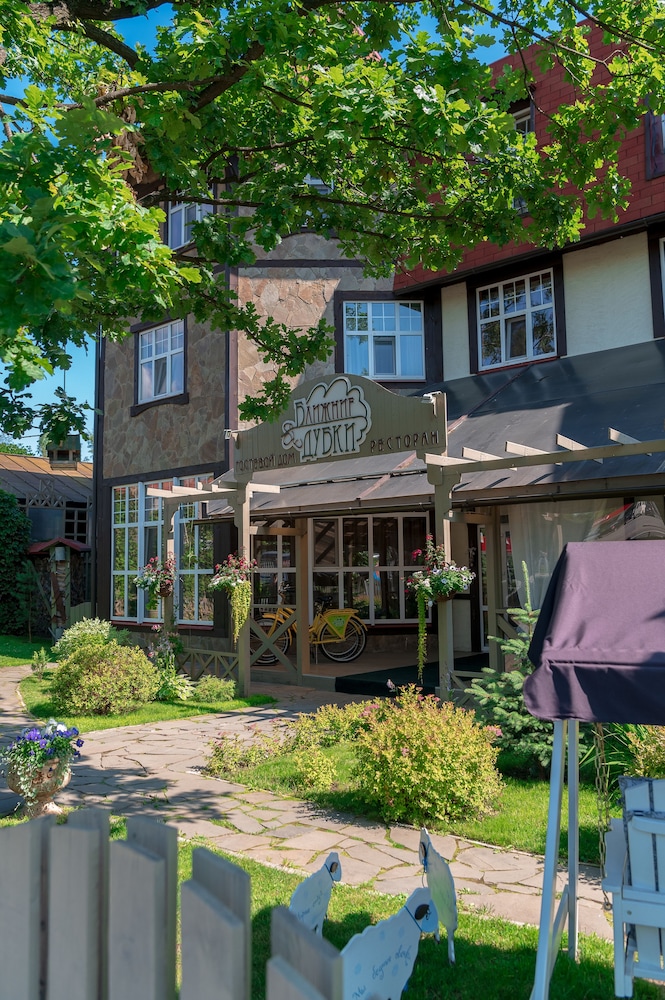 Guest House Blizhnie Dubki