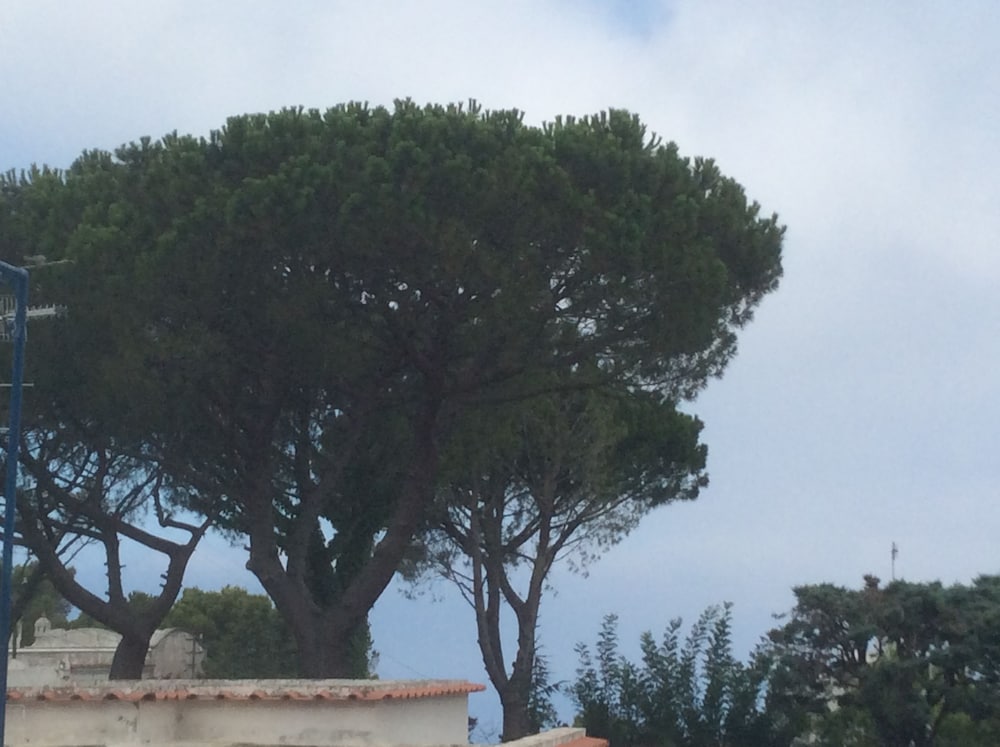 Hotel Victoria Place photo 5