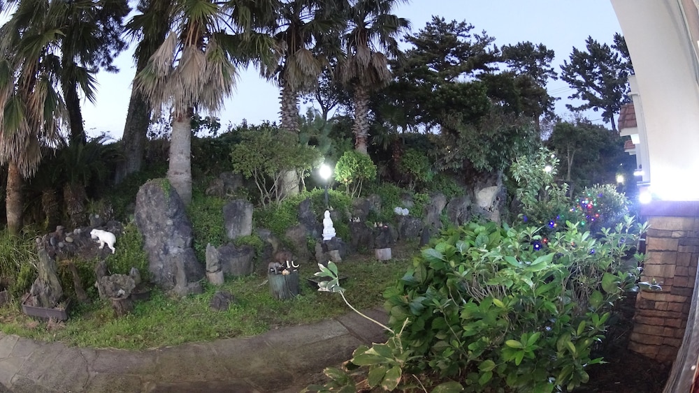 Memory In Jeju Pension