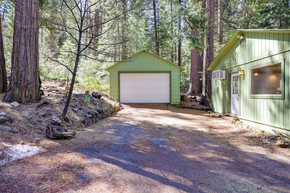 Stay Near Big Trees, Bring Your Pets: Arnold Cabin