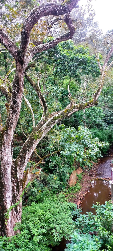 iSTAYS - Loop Road Yercaud