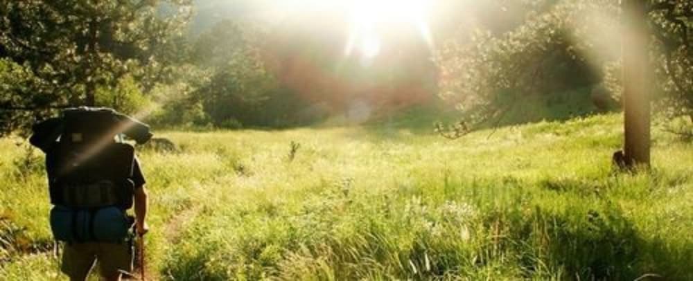 Photo 36