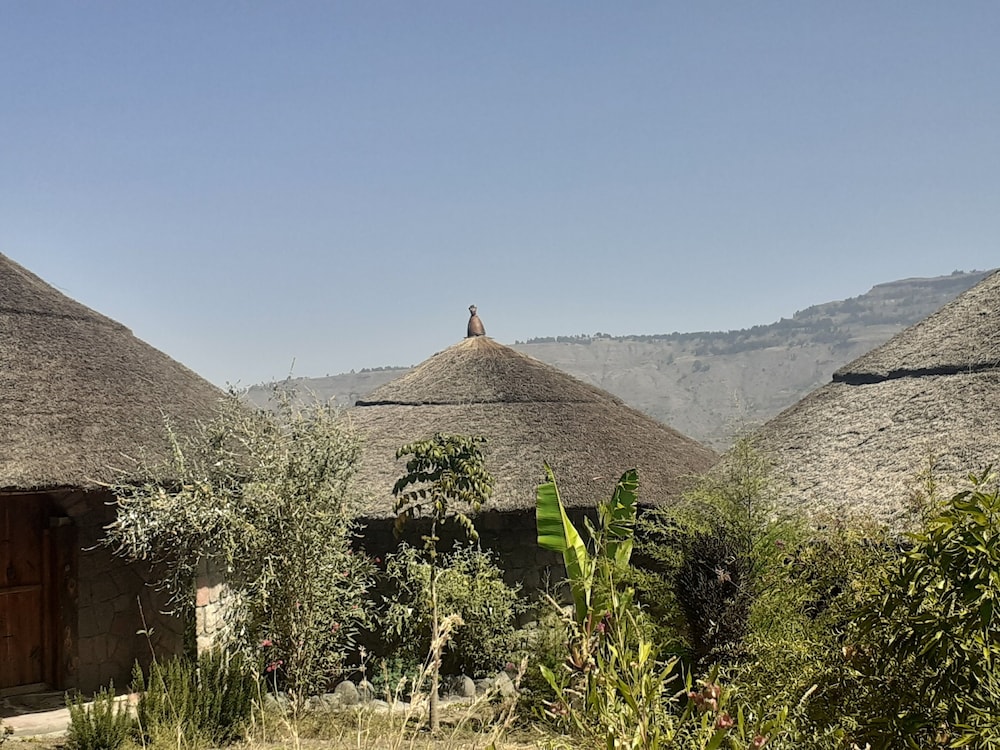 Bethan Amba ecovillage view 5