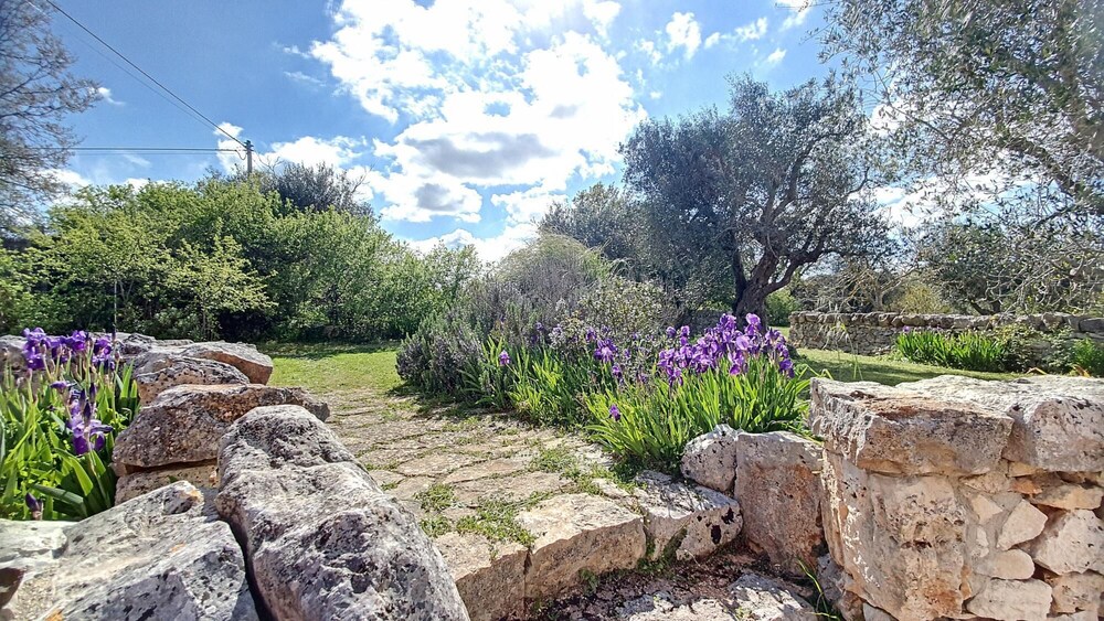 Photo 25