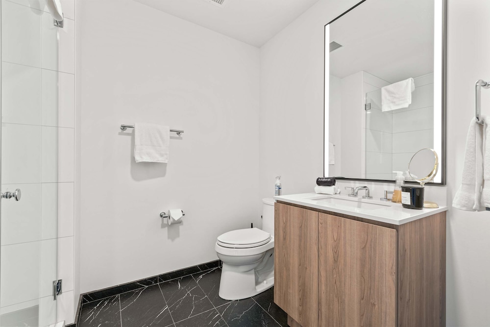 60 Fl Lake View Apt An Urban Oasis in the Sky