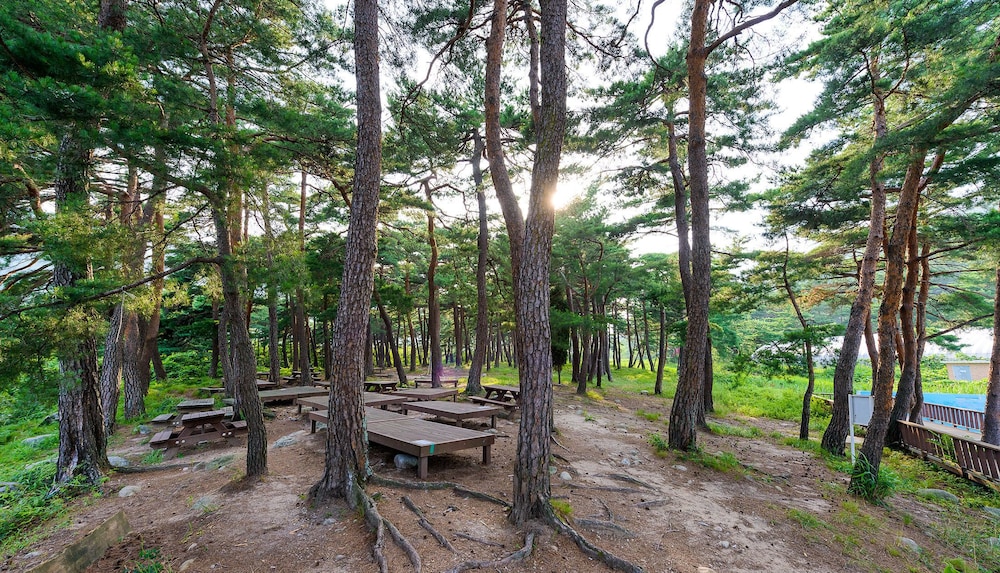 Seorak Pension