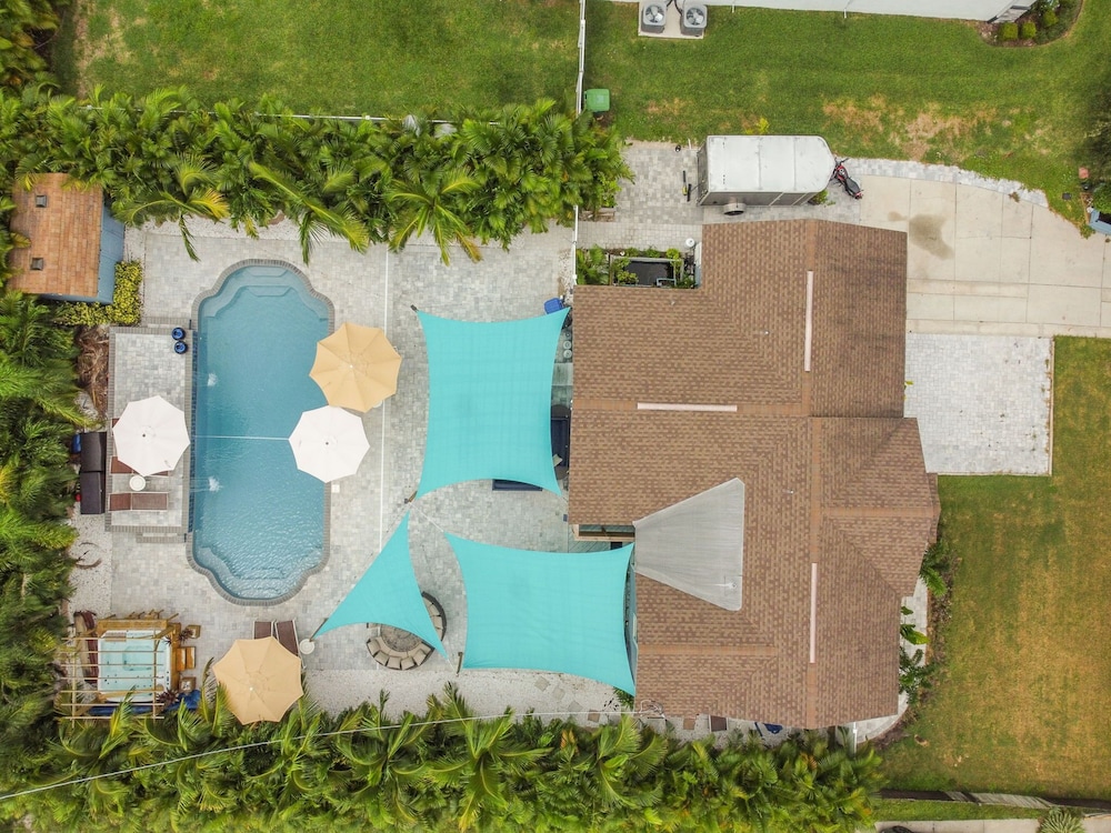 The Tampa Oasis