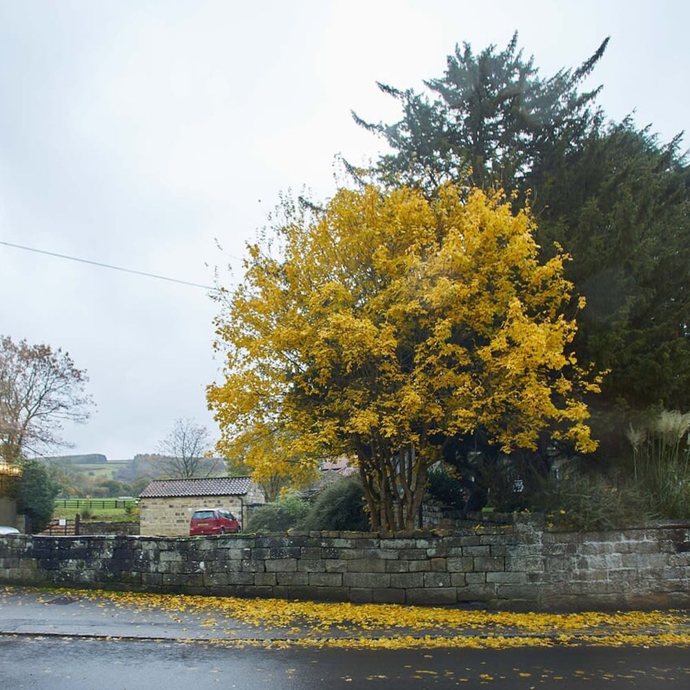 Host Stay Rosella Cottage