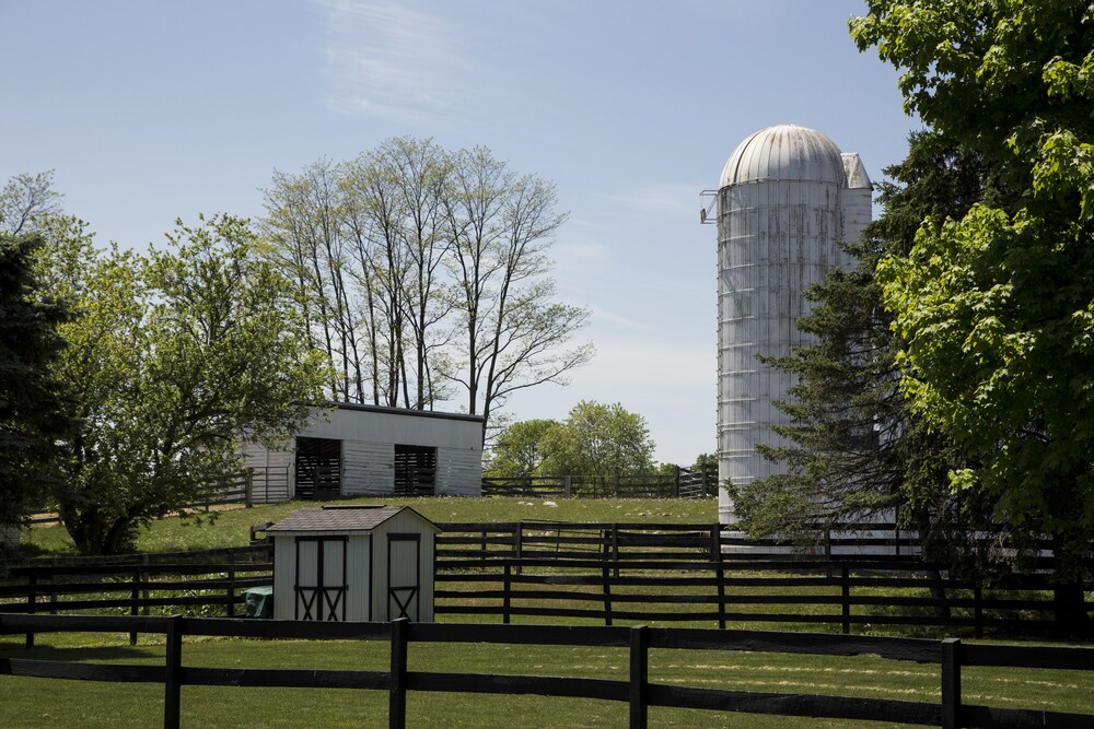 Pheasant Field B&B