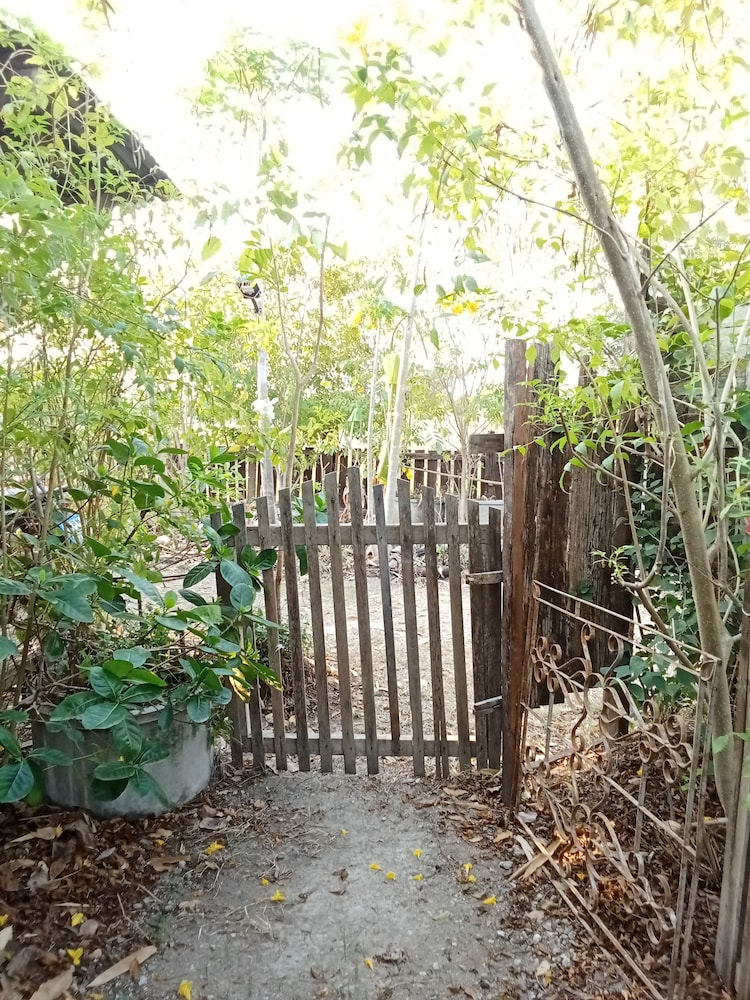 peaceland farmstay view 2
