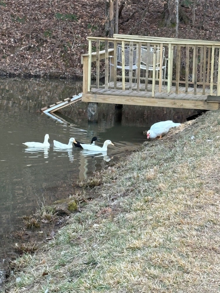 Newly Listed-Private 25-Acre Escape Near Red River Gorge