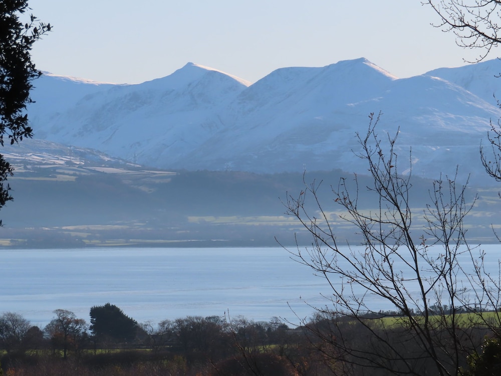 Plas Elyn