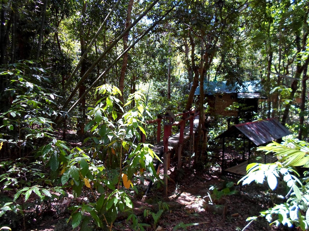 Khao Sok Tree House