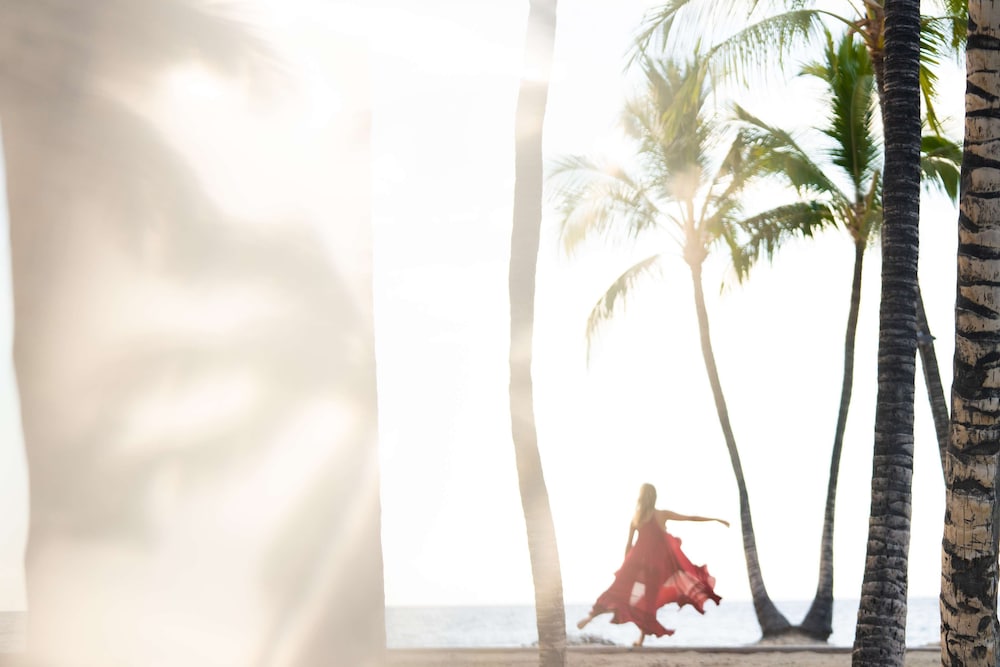 Fairmont Orchid - Property Image 144