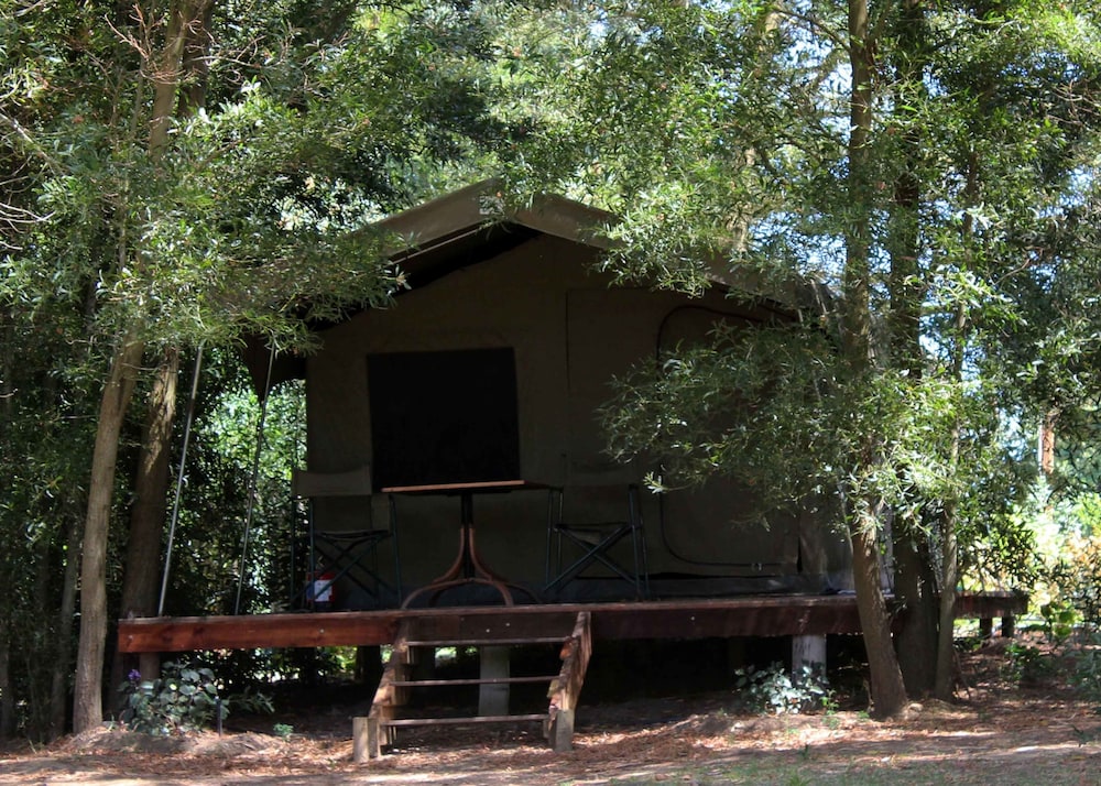 Tri Active Lodge