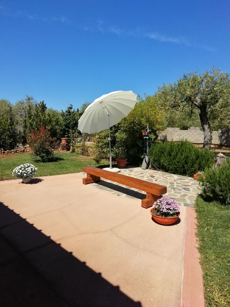 Photo 24