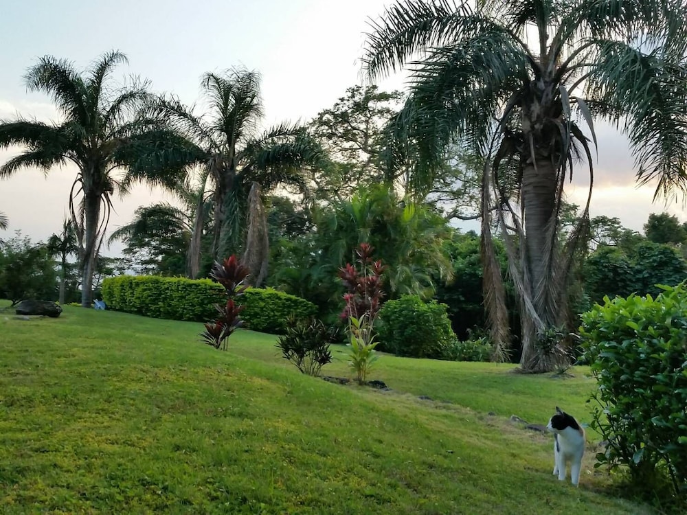 Cottage HANA MANA