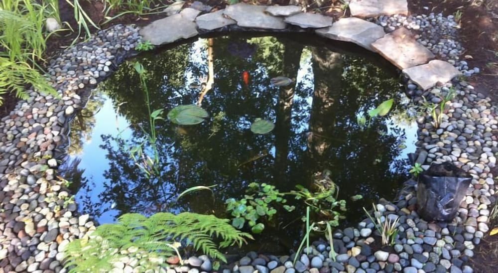 Photo 48
