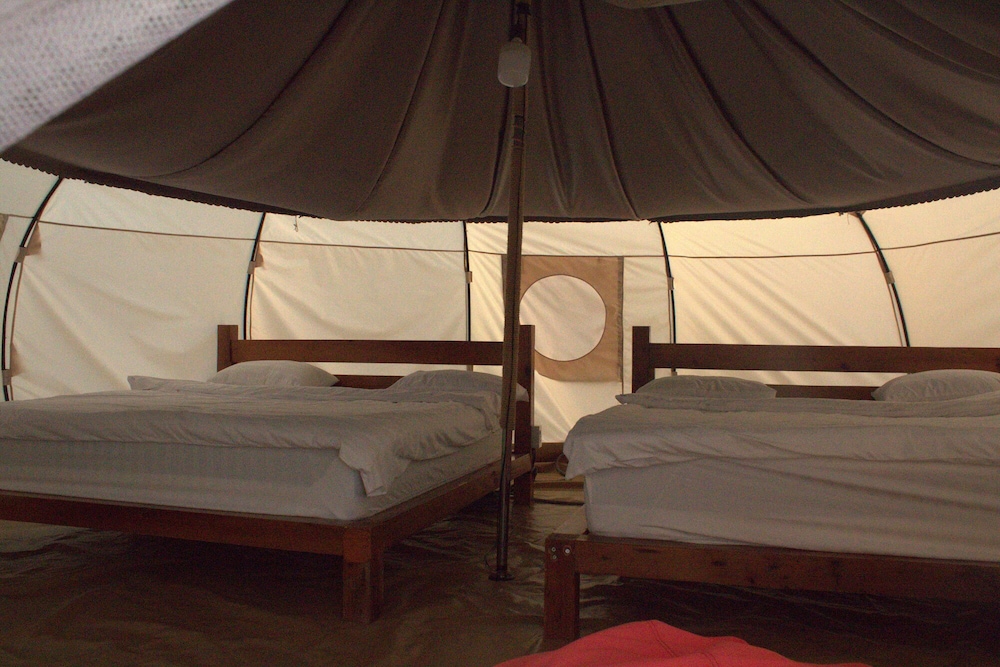DaLart Glamping & Coffee