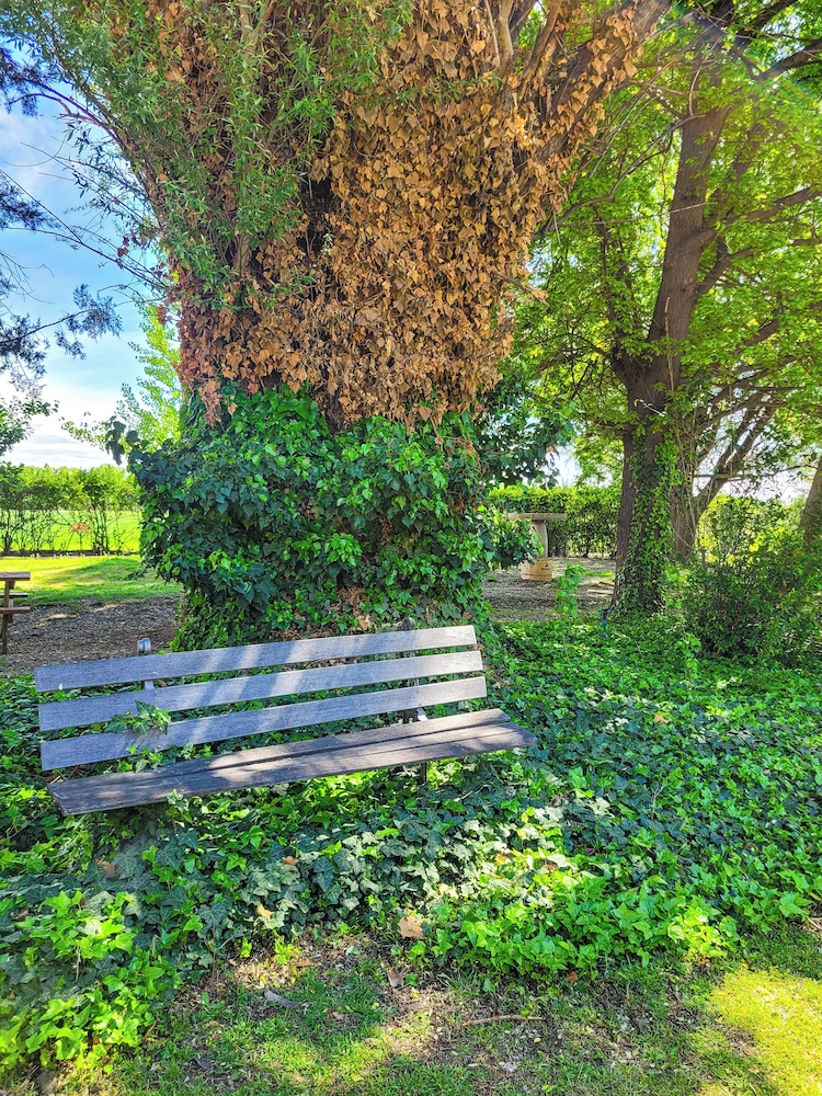 Finca La Saucina