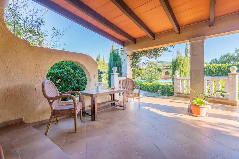 Hibiscus in Sa Pobla photo 5