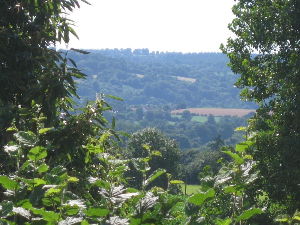 Le Petit Clos, photo 16