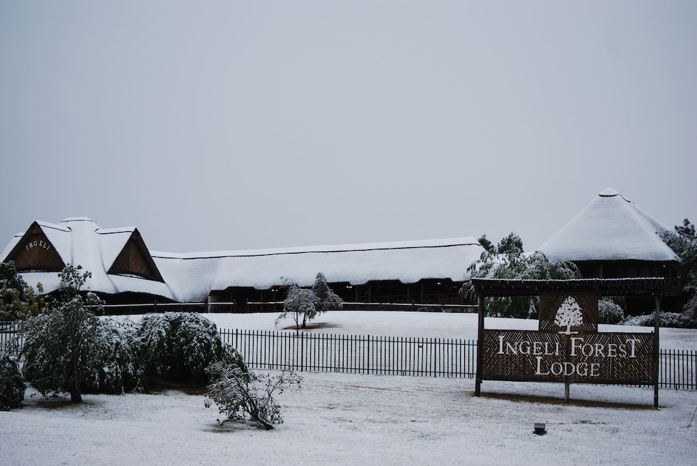 ANEW Resort Ingeli Forest Kokstad