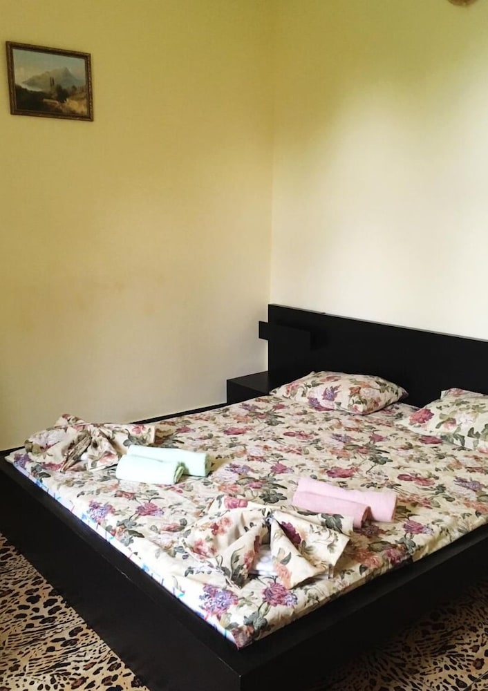 Rodnichok Guest House view 2