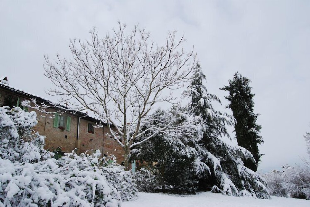 Tenuta il Pino