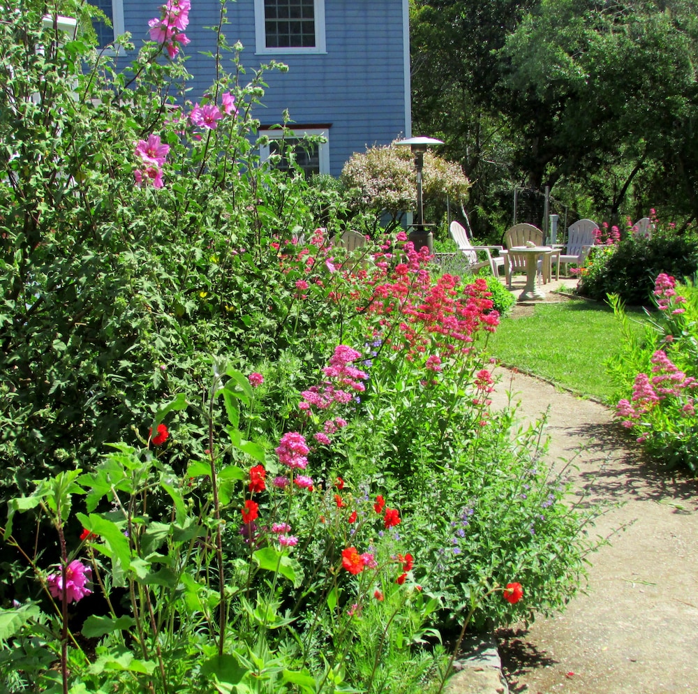 Photo 42