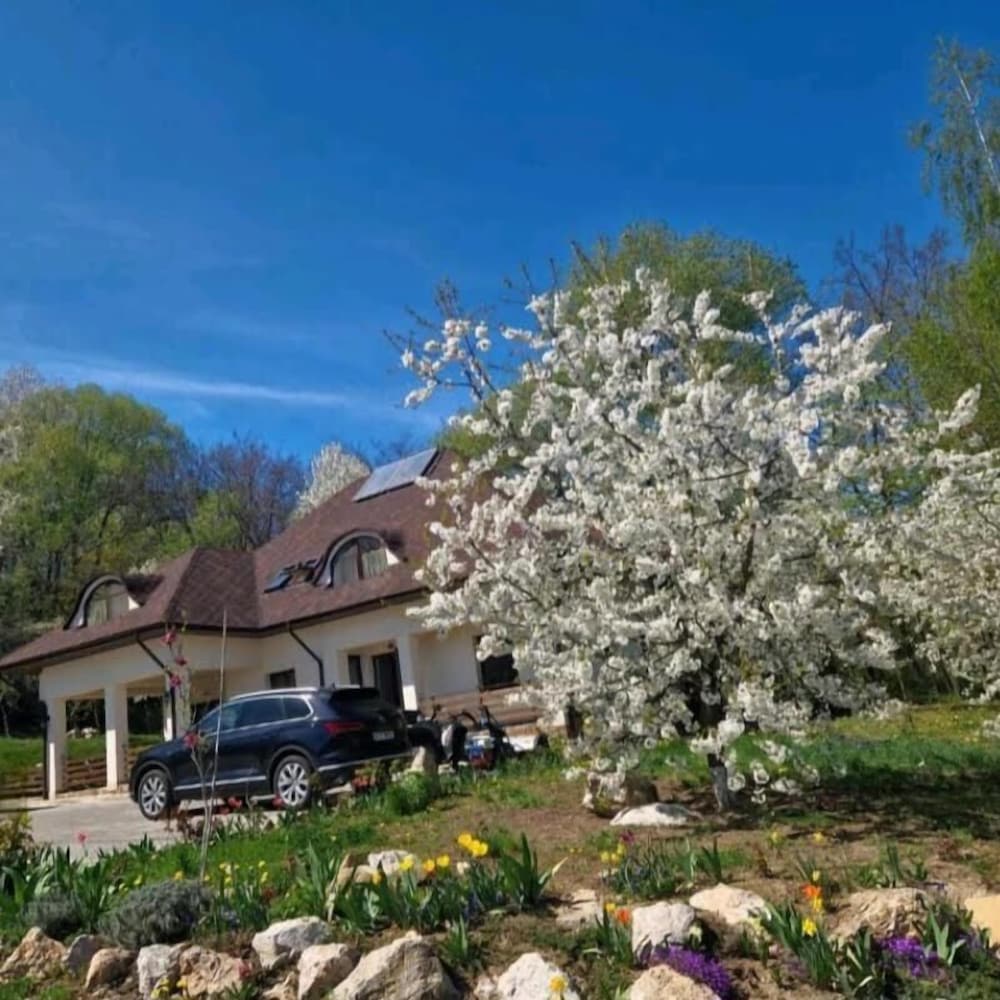 Provence Suceava