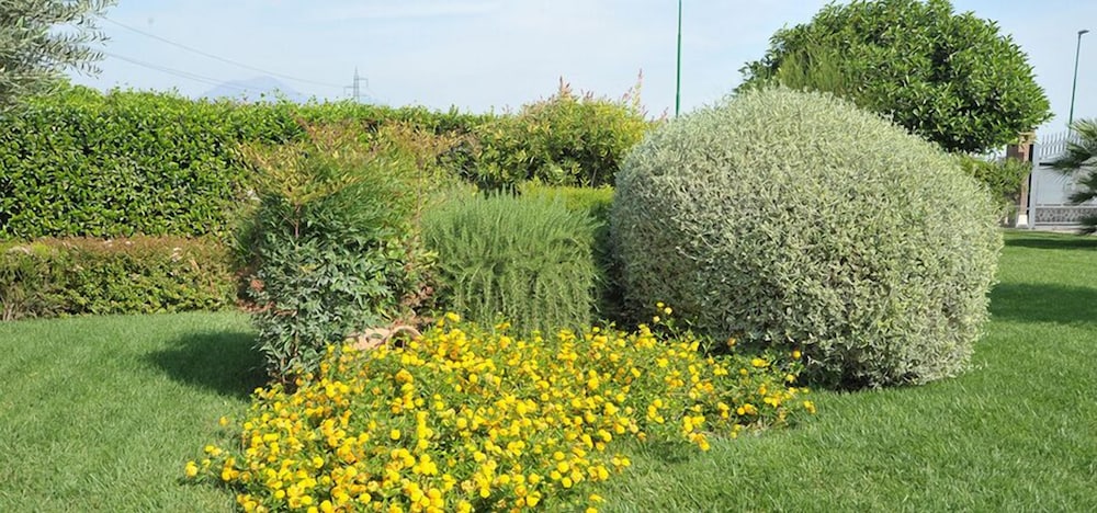 Il Giardino B&B