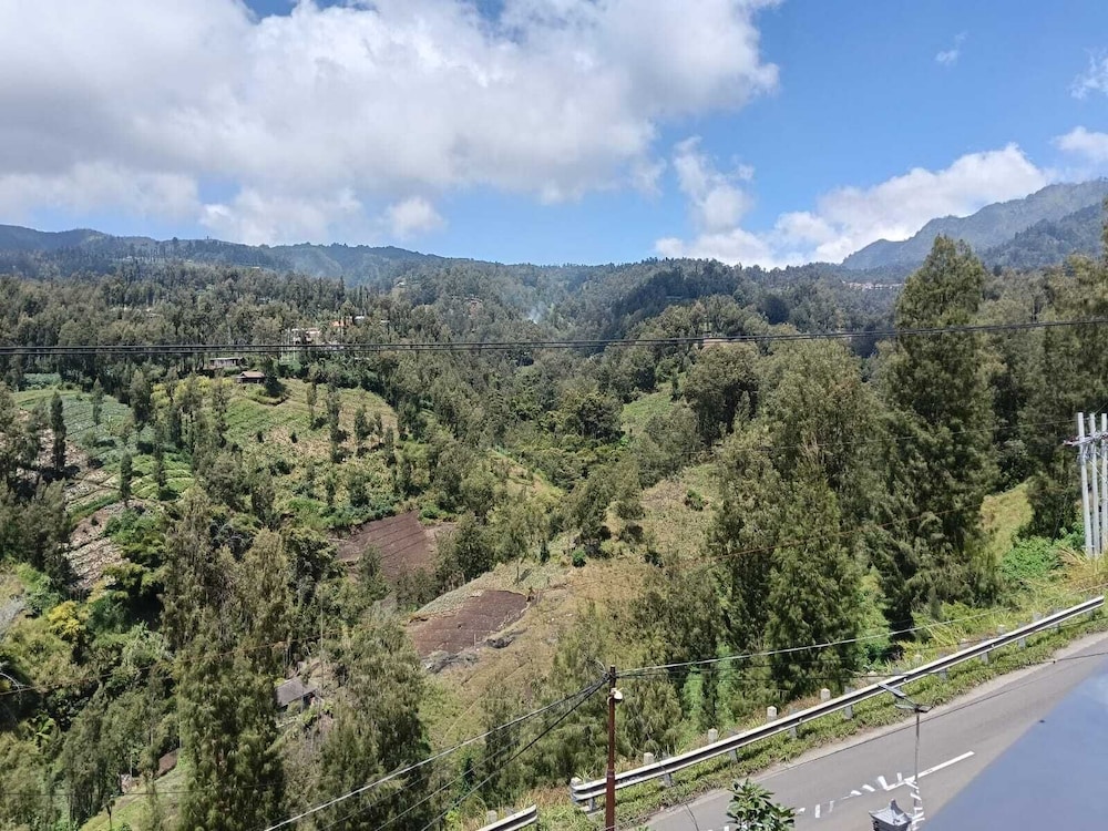 Pulmo Guesthouse Bromo
