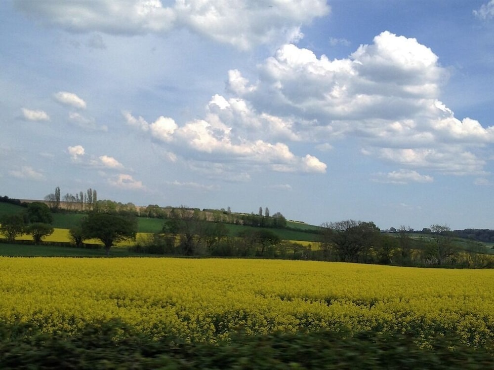 Photo 45