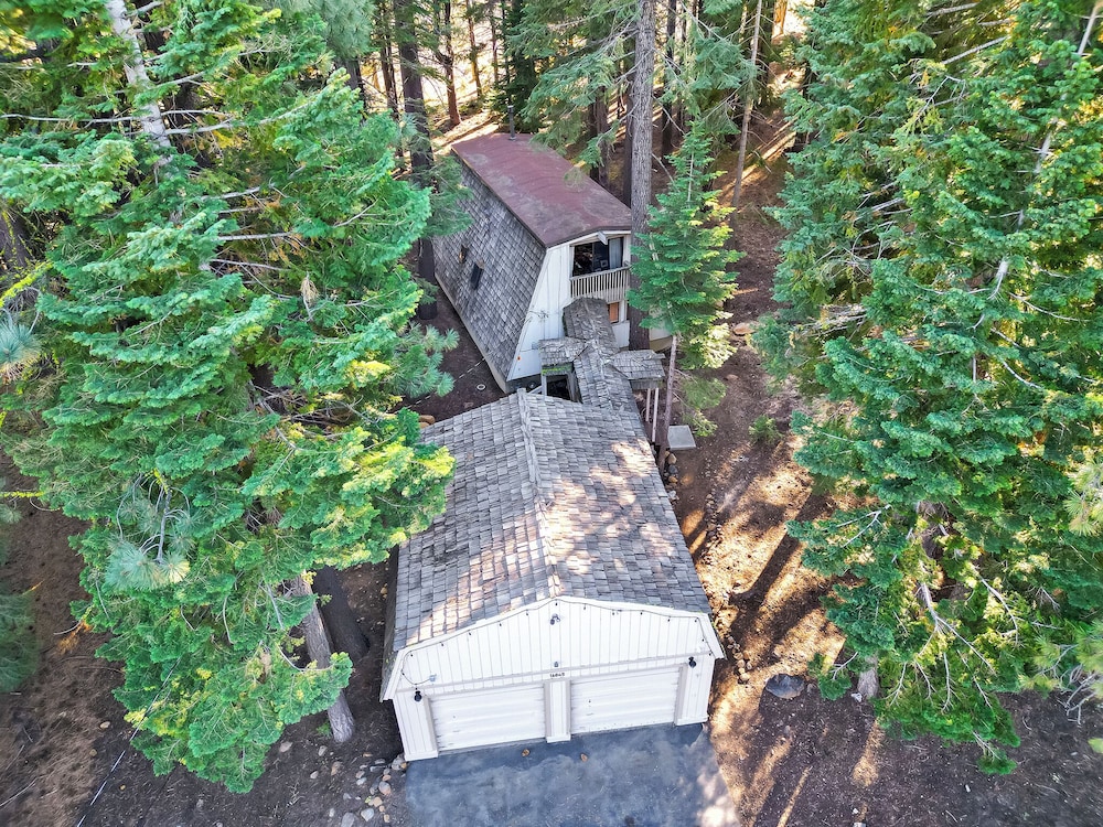 A Frame Hideaway | Floor to Ceiling Windows in the Pines