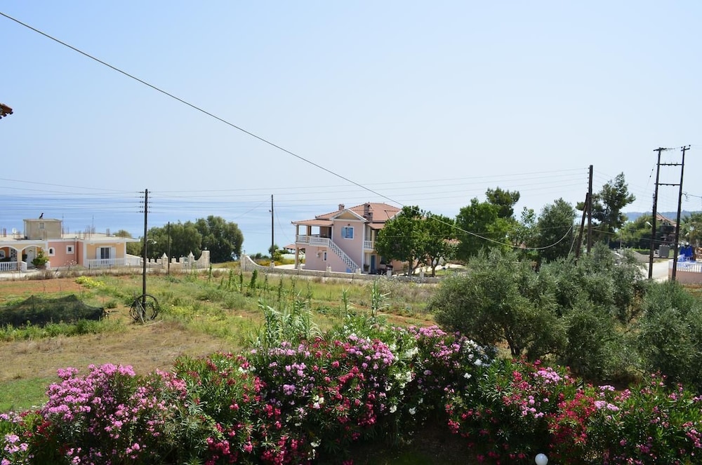 Photo 41