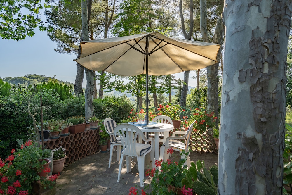 Villa Campiglia photo 4
