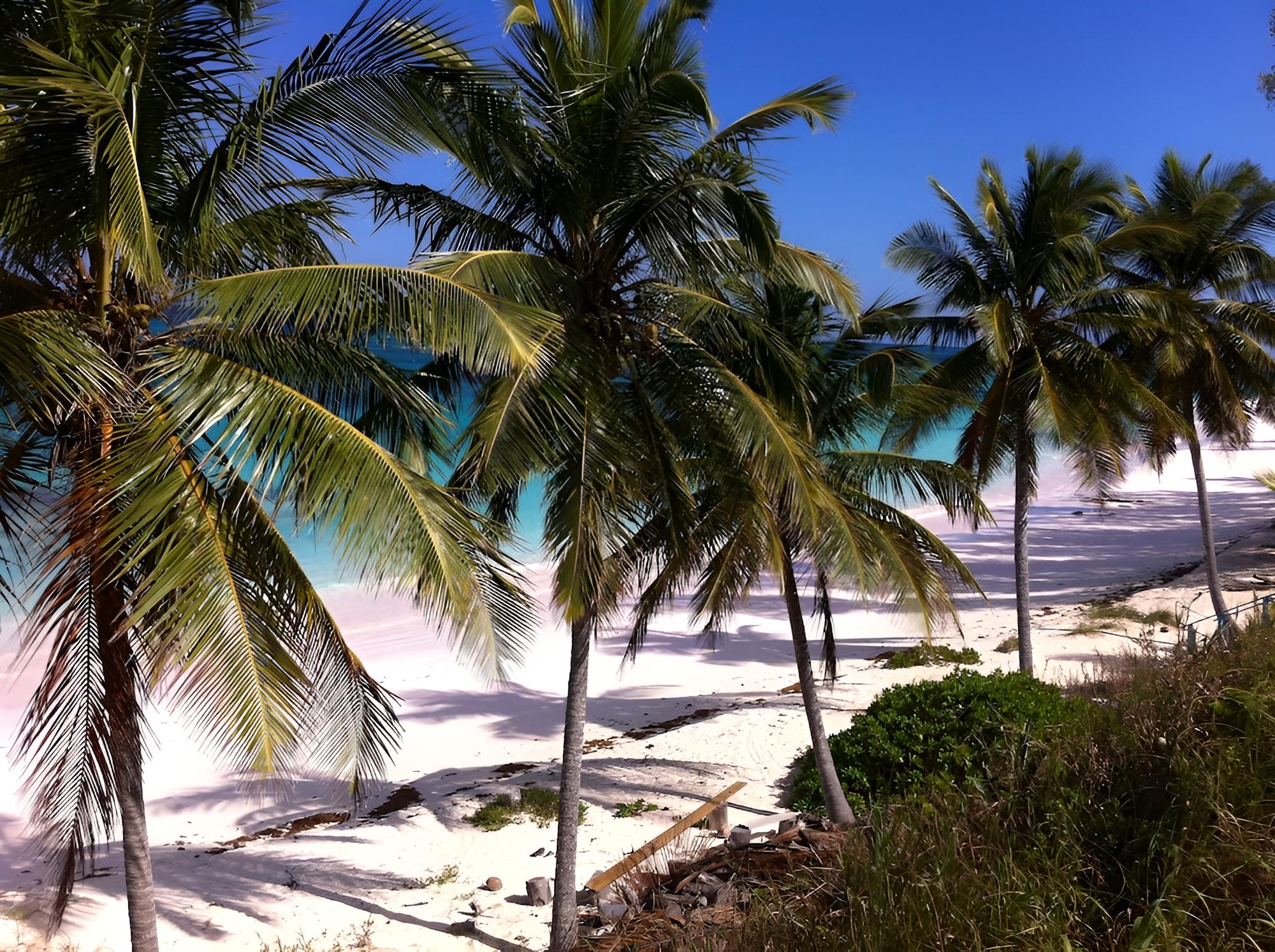 Seven Palms