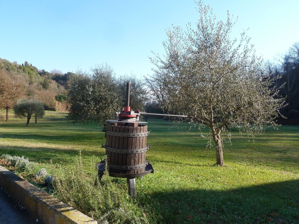 Photo 8